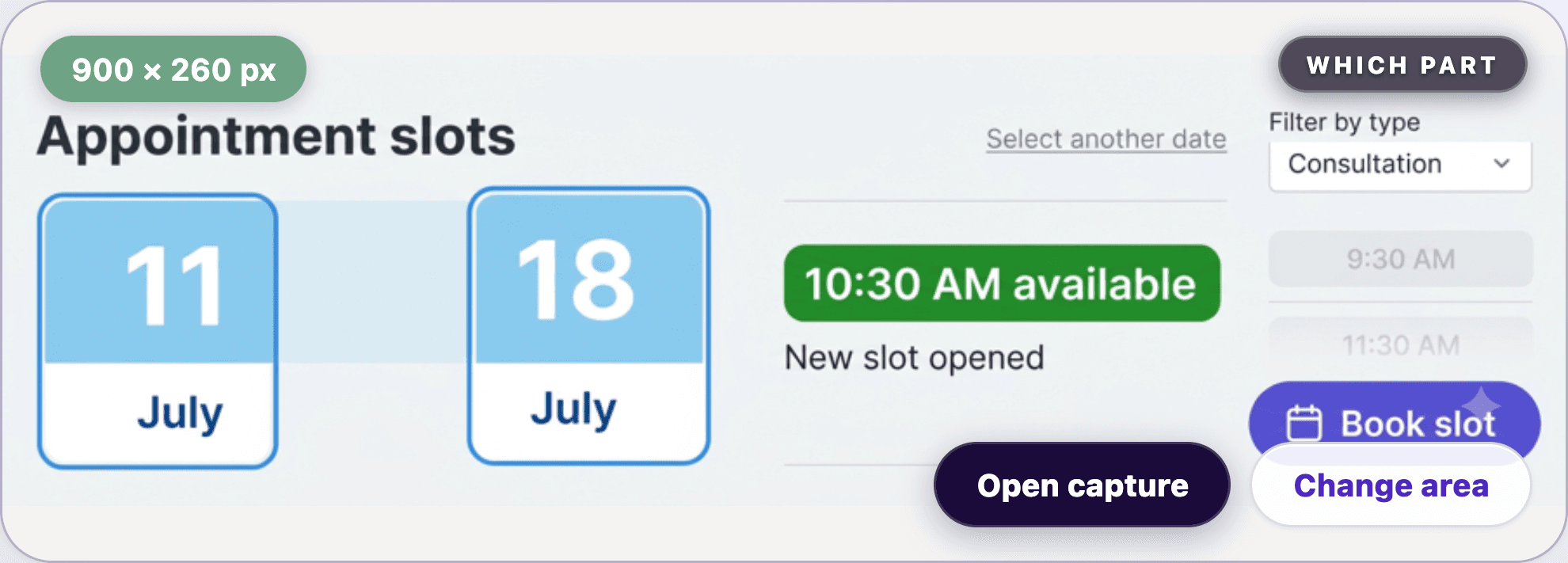 The selected PageDog appointment area showing dates and an available 10:30 AM slot.